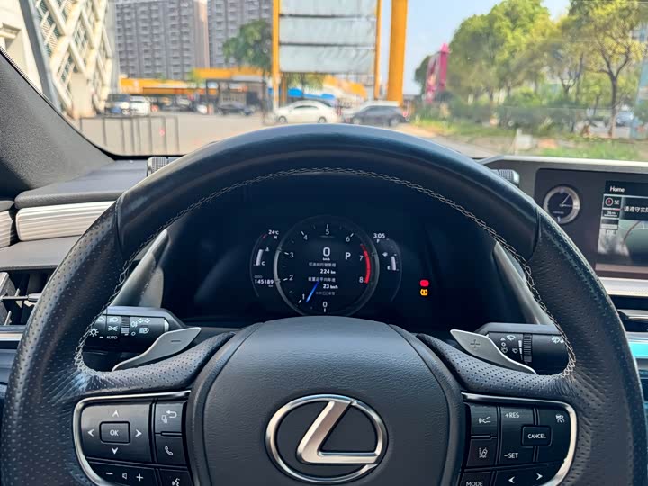 Lexus ES 2018 260 F SPORT V — фото 12