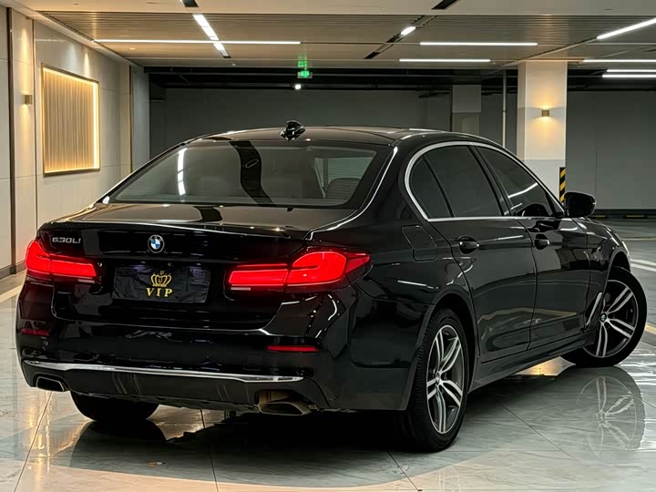 BMW 5-Series 2021 530 Li Leading — фото 8