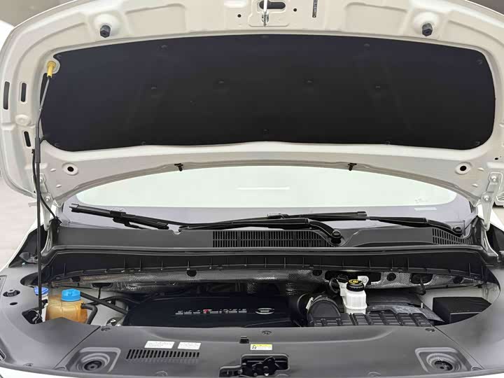 Trumpchi M8 2021 390 T — фото 24