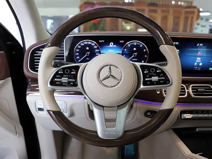 Maybach GLS 2021 GLS 480 4 MATIC — фото 11
