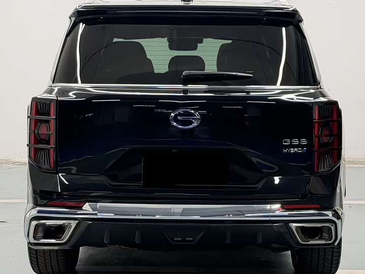 Trumpchi GS8 2022 2.0 TM 2 WD ( ) — фото 4