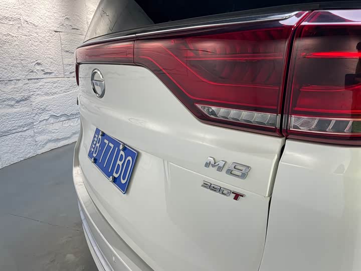 Trumpchi M8 2023 390 T — фото 18