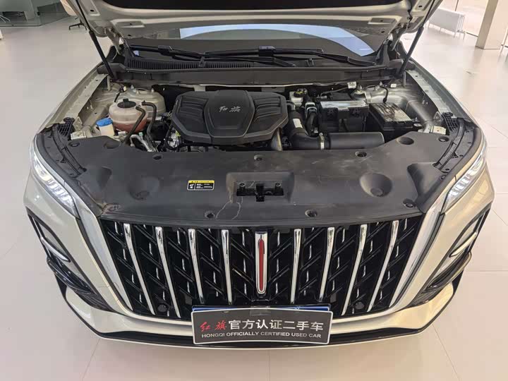 Hongqi HS5 2023 2.0 T 4 WD Pro — фото 5