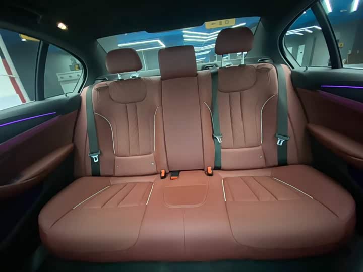 BMW 5-Series 2021 530 Li Leading M — фото 19