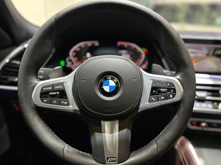 BMW X6 2020 x Drive 30i M — фото 6