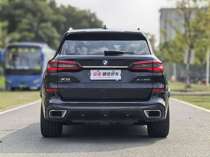 BMW X5 2022 x Drive 30 Li M — фото 4
