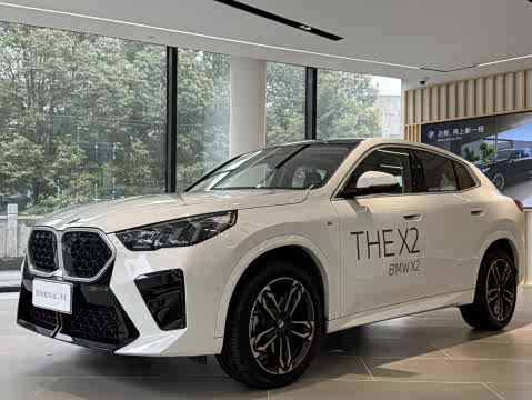 BMW X2 2024 s Drive 25i M — фото 13