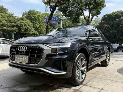 Audi Q8 2022 55 TFSI — фото 19