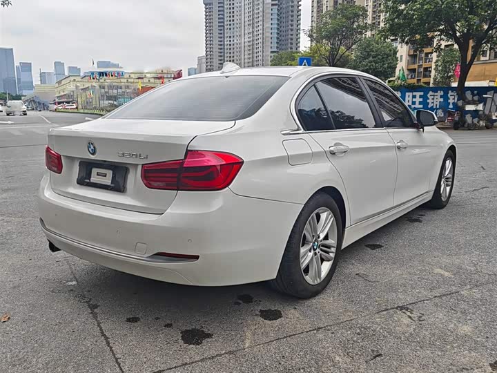 BMW 3 Series 320Li стиль — фото 9