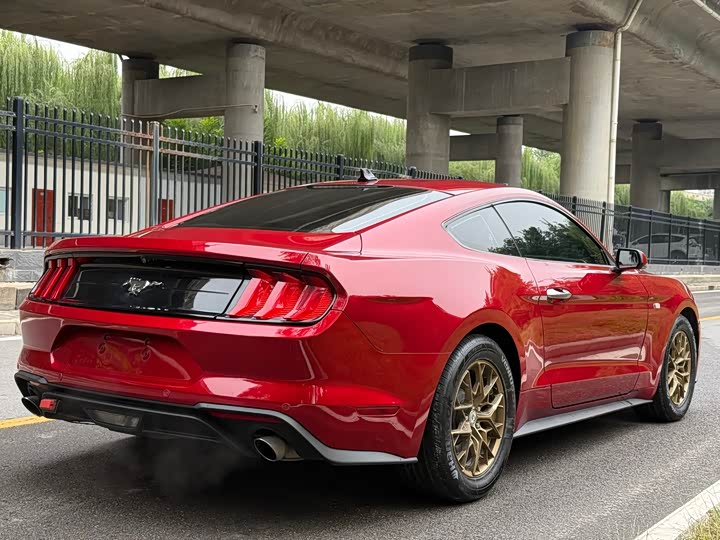 Ford Mustang 2021 2.3 T Eco Boost — фото 5