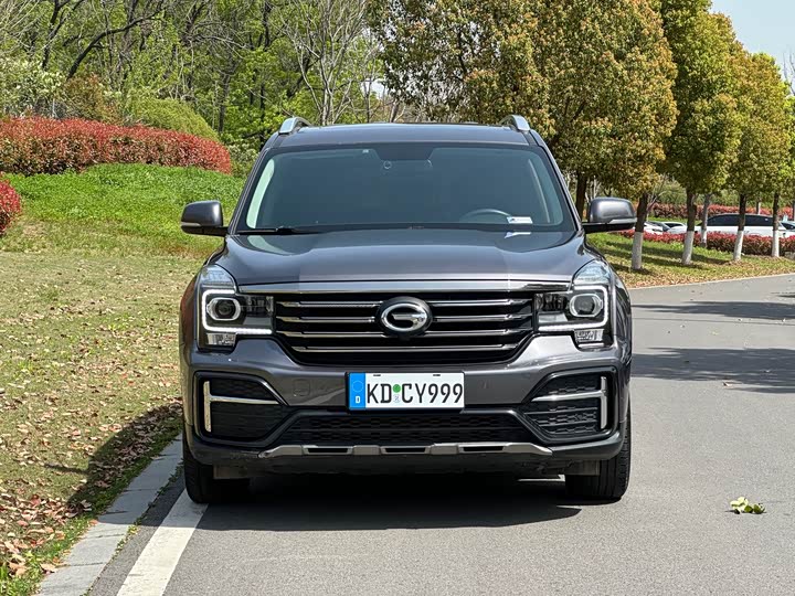 Trumpchi GS8 2020 390 T 2 WD ( ) — фото 2