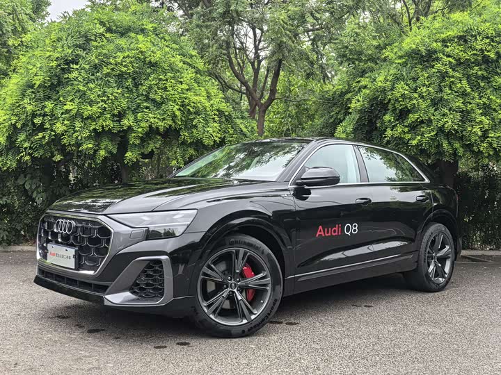 Audi Q8 2024 55 TFSI — фото 1