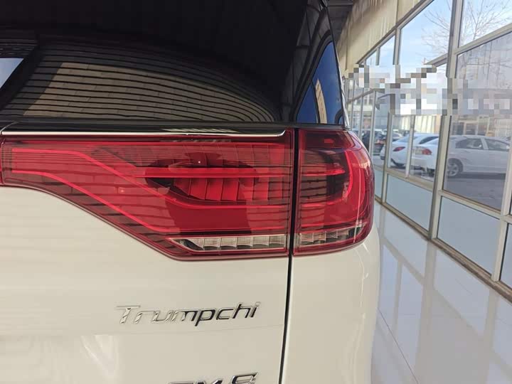 Trumpchi M8 2020 390 T — фото 24