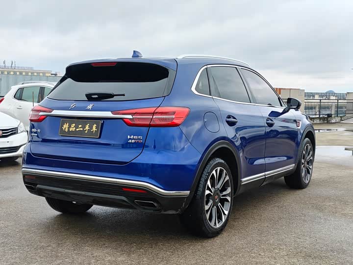 Hongqi HS5 2019 2.0 T 4 WD — фото 9
