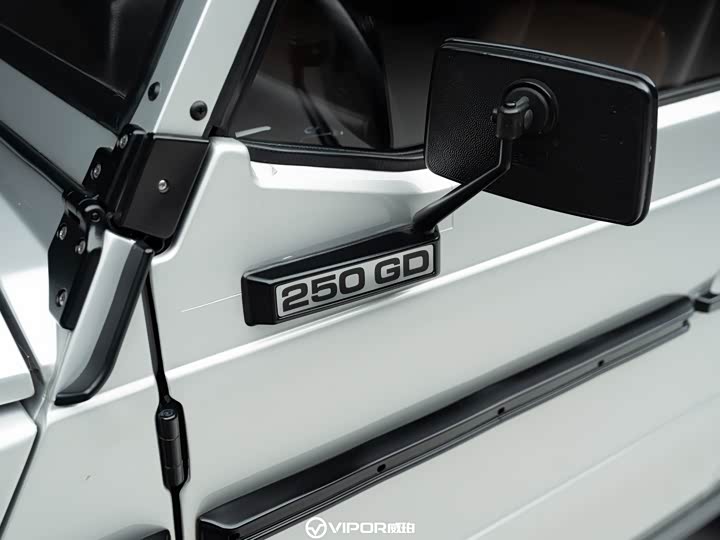 Mercedes-Benz G-Class 2016 G 250 GD — фото 14