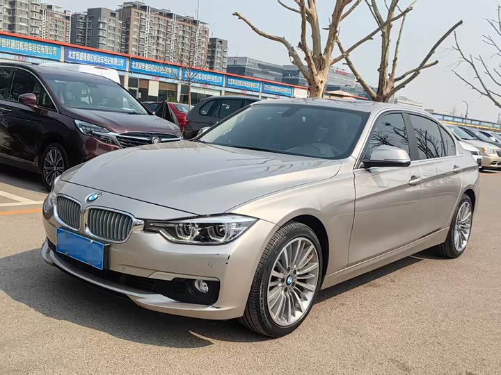 BMW 3-Series 2019 320 Li — фото 1
