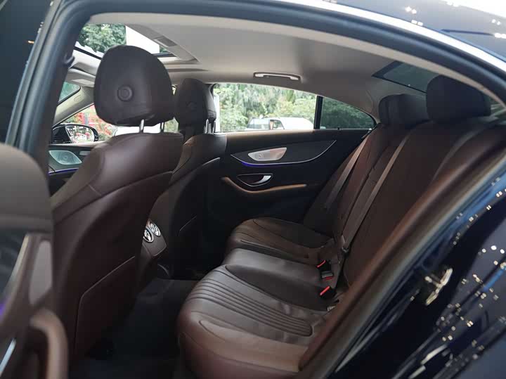Mercedes-Benz CLS 2021 CLS 300 Luxury — фото 9