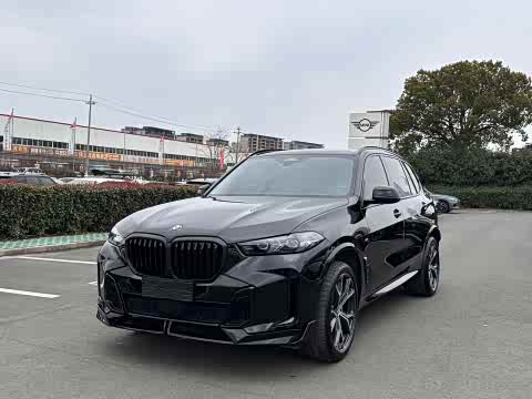 BMW X5 2025 x Drive 30 Li M — фото 14