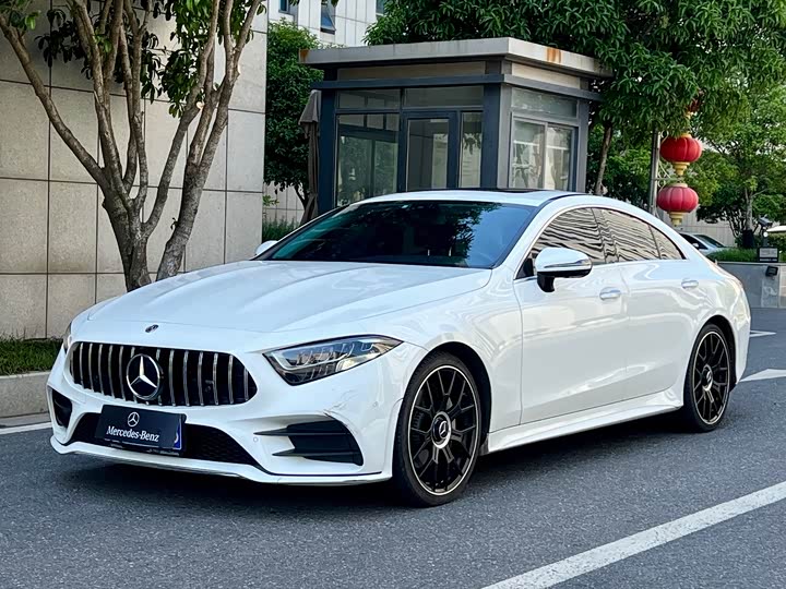 Mercedes-Benz CLS 2021 CLS 300 Luxury — фото 2