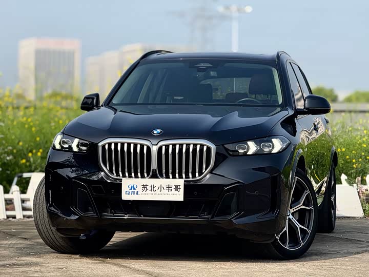 BMW X5 2023 x Drive 30 Li M — фото 1