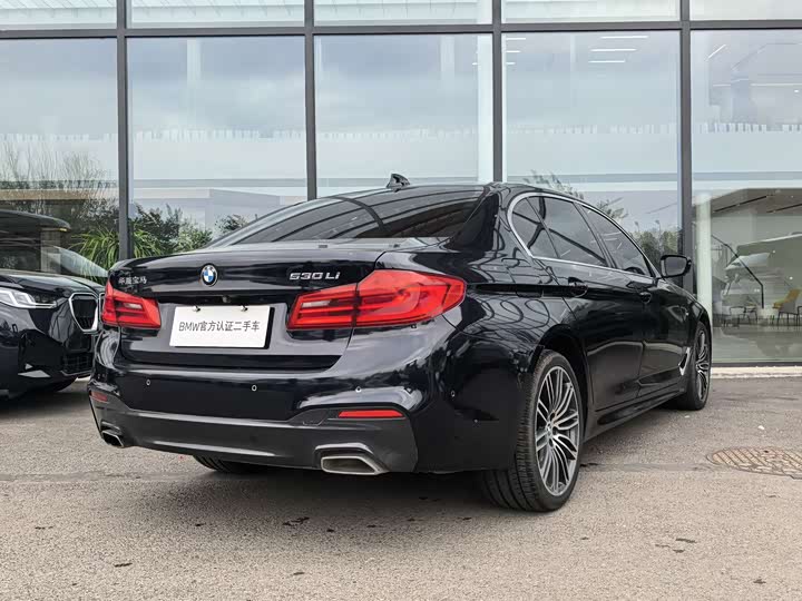 BMW 5-Series 2020 530 Li Leading M — фото 5