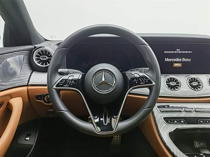 Mercedes-Benz CLS 2023 CLS 300 — фото 11