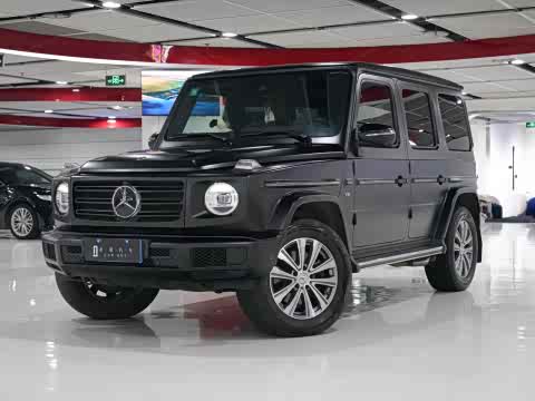 Mercedes-Benz G-Class 2019 G 500 — фото 22