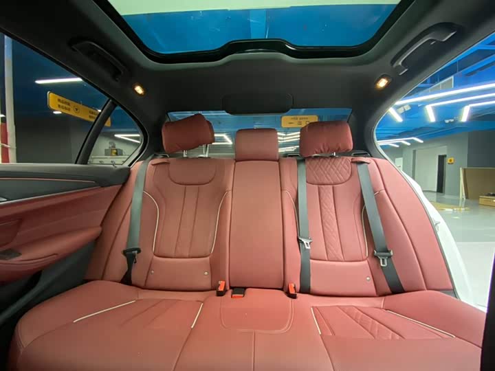 BMW 5-Series 2023 530 Li Leading M — фото 22