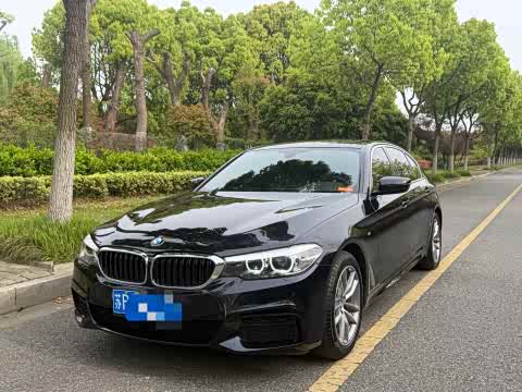 BMW 5-Series 2020 525 Li M — фото 10
