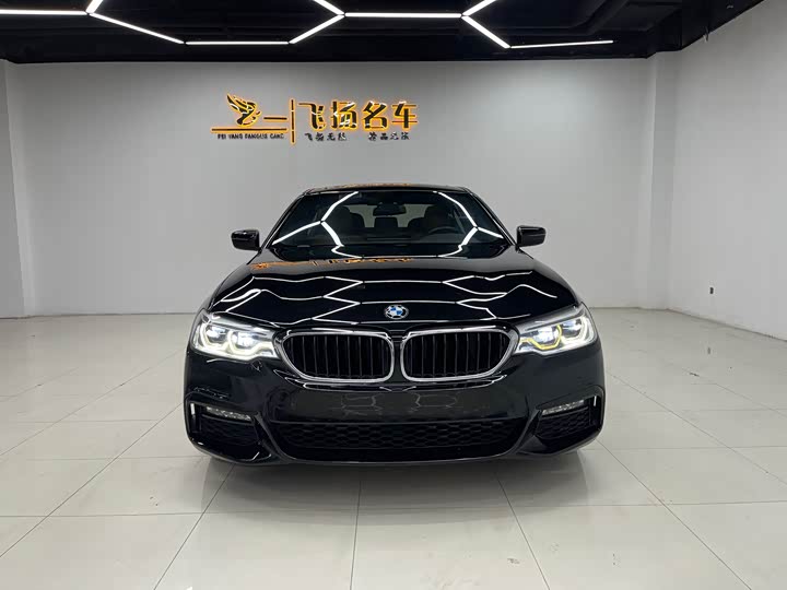BMW 5-Series 2018 530 Li Leading M — фото 3
