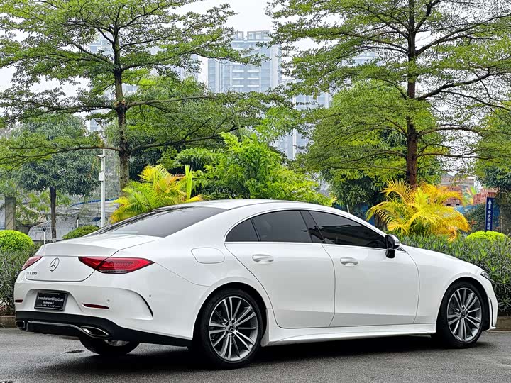 Mercedes-Benz CLS 2021 CLS 300 — фото 7