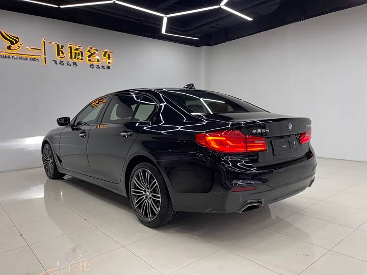 BMW 5-Series 2018 530 Li Leading M — фото 14