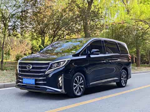Trumpchi M8 2023 390 T — фото 15