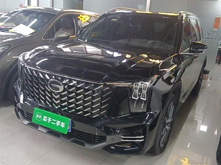 Trumpchi GS8 2024 2.0 TGDI 2 WD 7 — фото 1
