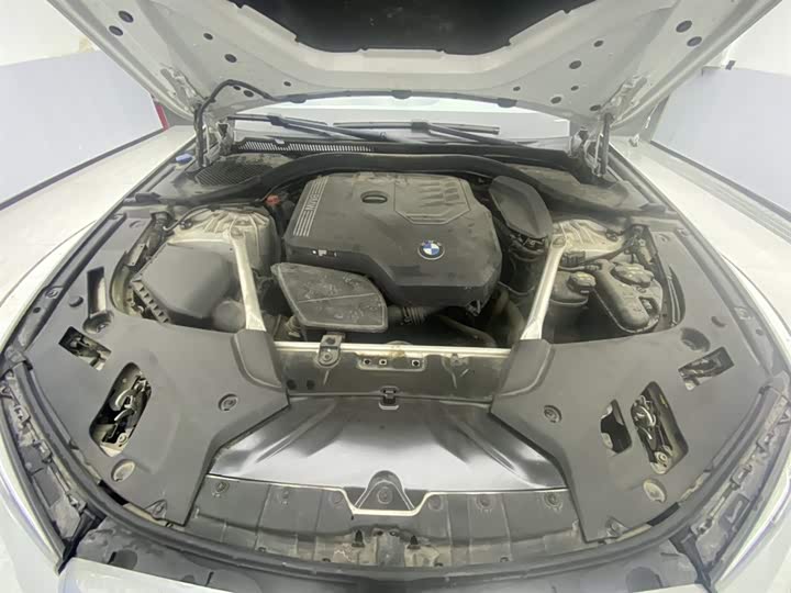 BMW 5-Series 2023 530 Li Leading M — фото 12