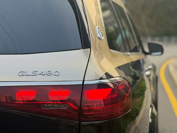 Mercedes-Benz GLS 2024 GLS 450 4 MATIC Luxury — фото 16