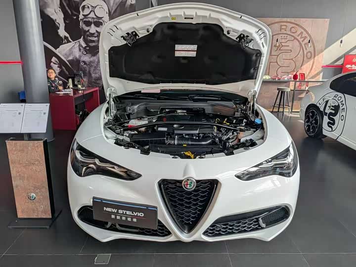 Alfa Romeo Stelvio 2023 2.0 T 280 HP Veloce — фото 14