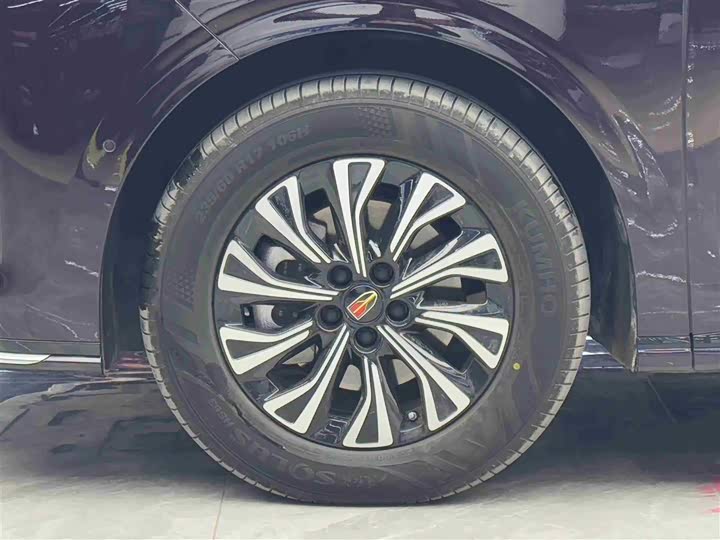 Hongqi HQ9 PHEV 2024 2.0 T 4 WD — фото 4