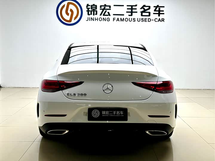 Mercedes-Benz CLS 2023 CLS 300 — фото 22