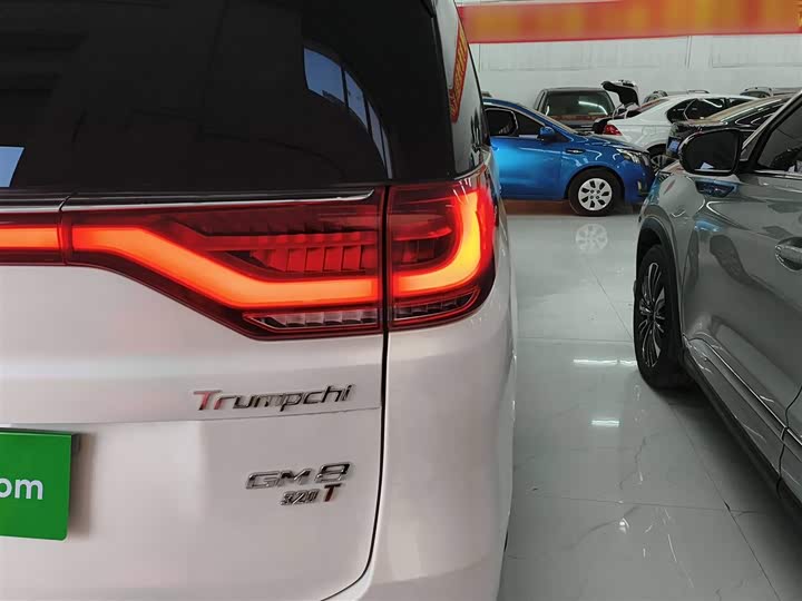 Trumpchi M8 2018 320 T — фото 8