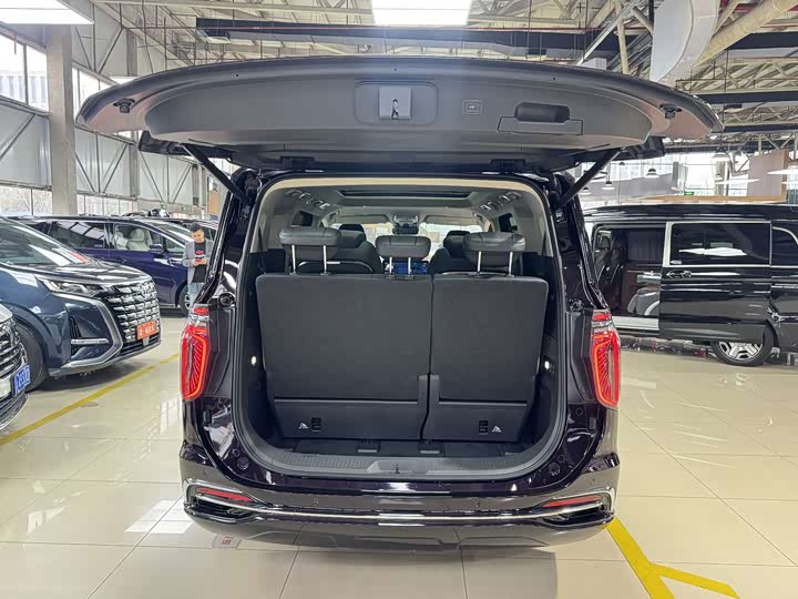 Hongqi HQ9 PHEV 2024 2.0 T 4 WD — фото 15
