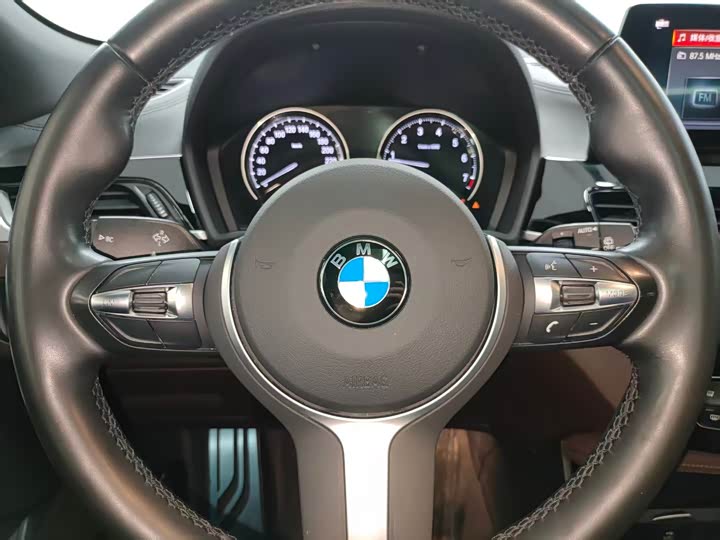 BMW X2 2020 s Drive 25i Leading M — фото 16