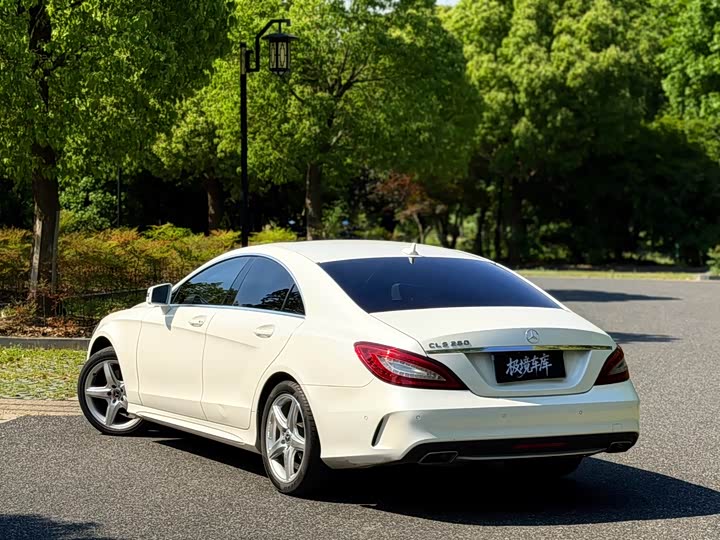 Mercedes-Benz CLS 2017 CLS 260 — фото 6