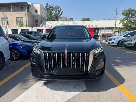 Hongqi HS5 2023 2.0 T 4 WD Pro — фото 10