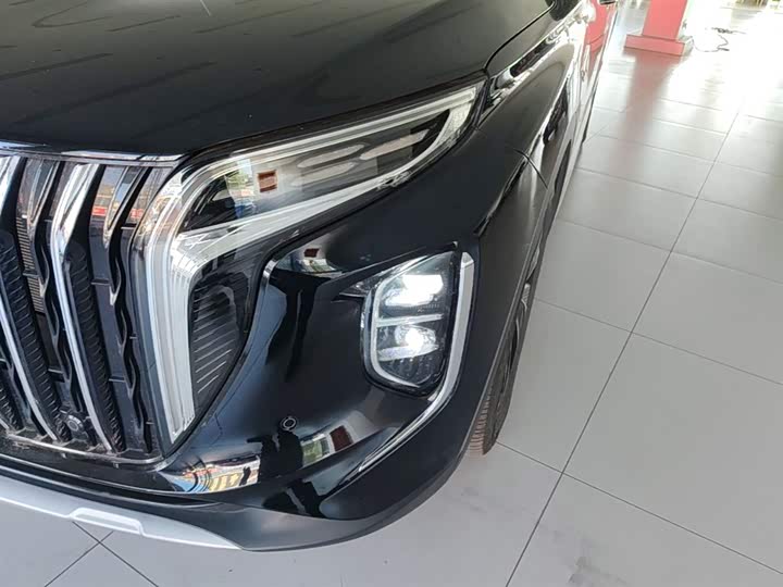 Hongqi HS7 PHEV 2024 2.0 T PHEV 4 WD 6 — фото 24