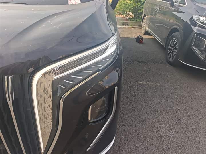 Hongqi HQ9 PHEV 2024 2.0 T 4 WD — фото 24