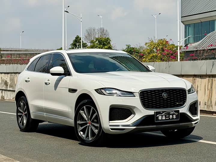 Jaguar F-PACE 2021 250 PS R-Dynamic S — фото 3