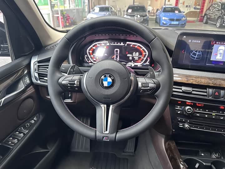 BMW X5 xDrive28i — фото 13