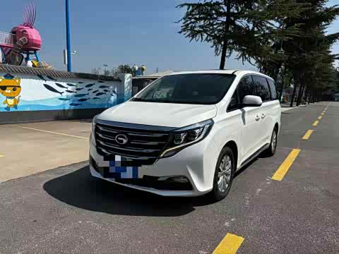 Trumpchi M8 2018 320 T — фото 17