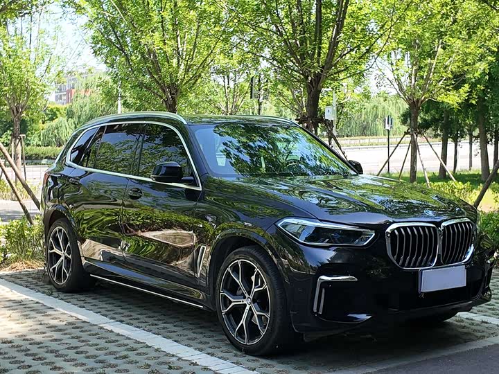 BMW X5 2022 x Drive 40 Li M — фото 2